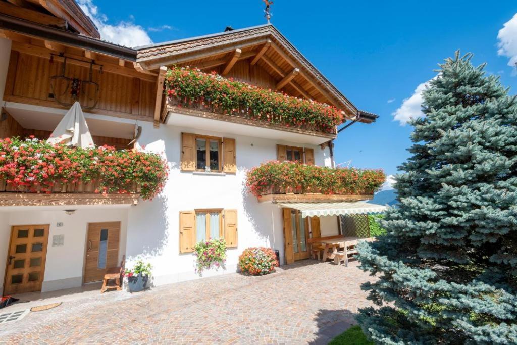 Appartamento Mansarda Patrizia E Franco Val Di Sole 코메차두라 외부 사진
