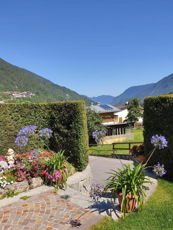 Appartamento Mansarda Patrizia E Franco Val Di Sole 코메차두라 외부 사진