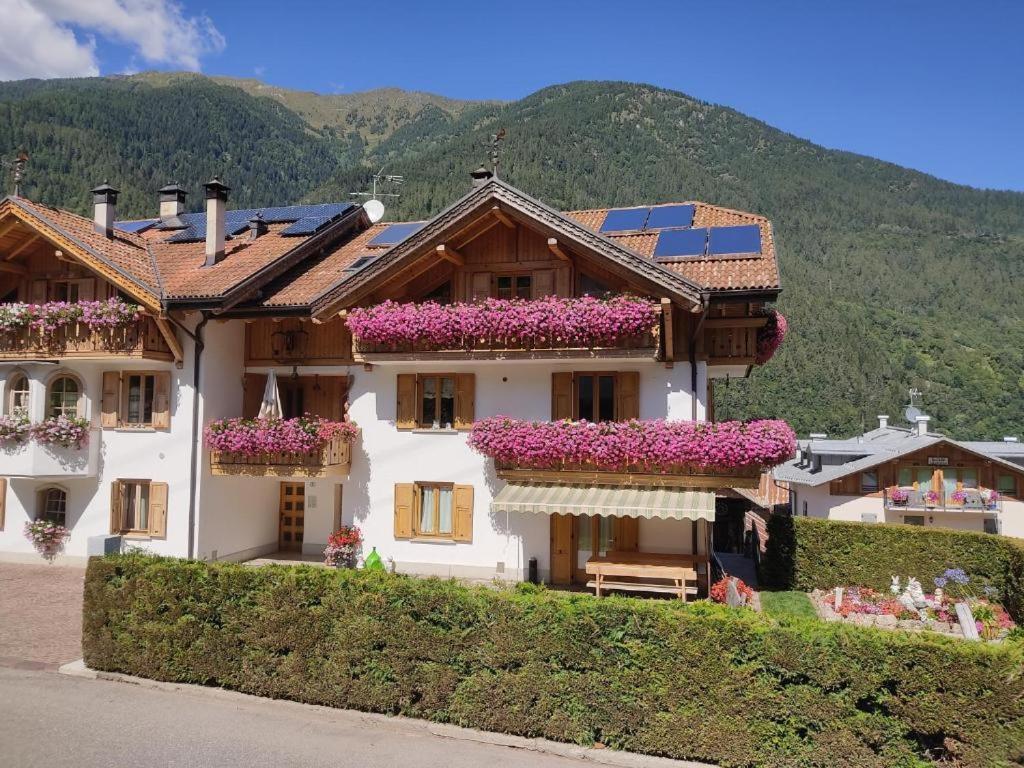 Appartamento Mansarda Patrizia E Franco Val Di Sole 코메차두라 외부 사진